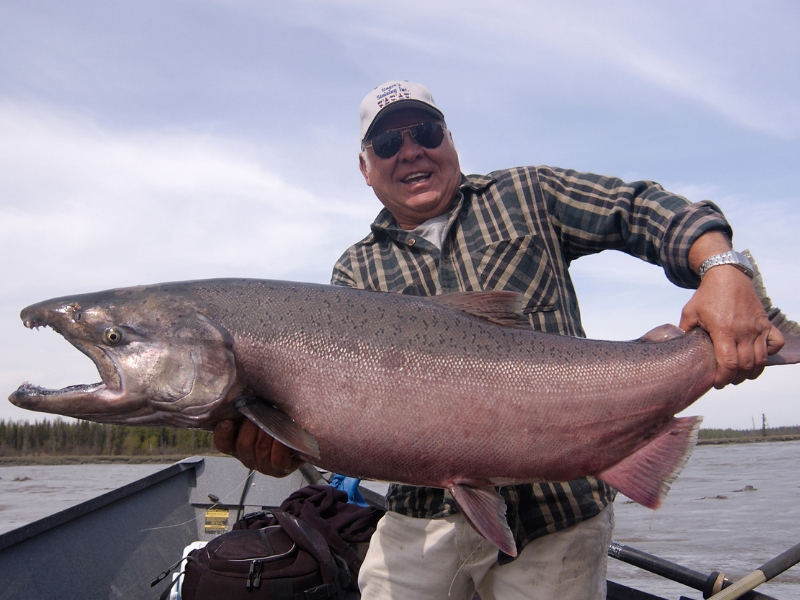 The result of Kasilof River salmon fishing!