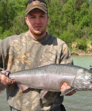 Kasilof king salmon