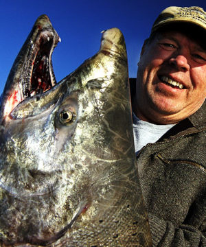 smiling man holding up massive king salmon