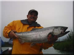 Kasilof King salmon