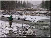 Alaska steelhead fishing in the Anchor River