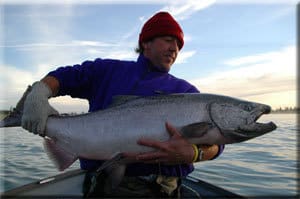 big king salmon