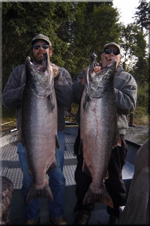 Late run king salmon, a reward for Alaska fishing on the Kenai River