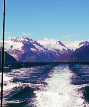 halibut-fishing-trips-3