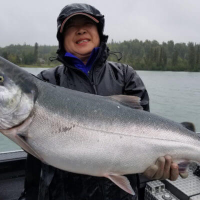 Very-Big-August-Silver-Salmon-Kenai-River-Alaska