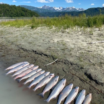 Fly-Out-Sockeye-Limits