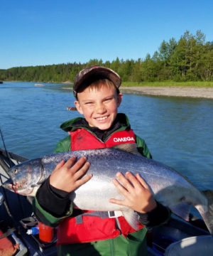 Kasilof River King Salmon