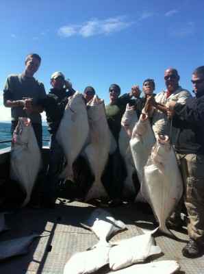 Halibut Limit from Cook Inlet