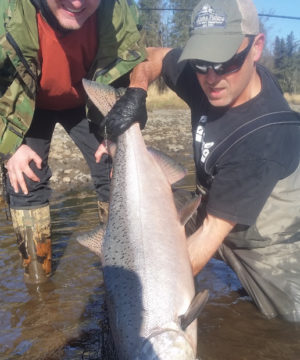 Kasilof-King-Salmon-Mark-Glassmaker-Alaska-Fishing-7