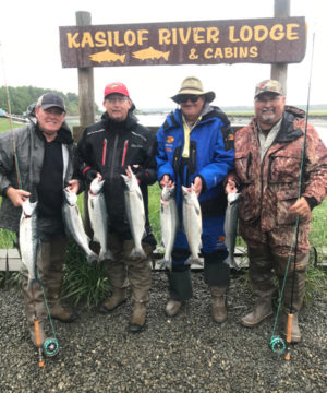 Kasilof River Sockeye Salmon
