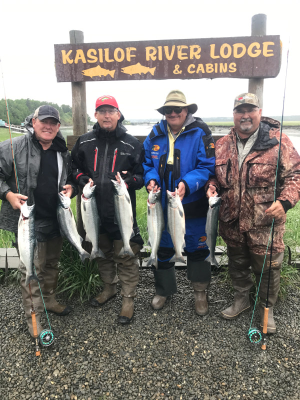 Kasilof River Sockeye Salmon