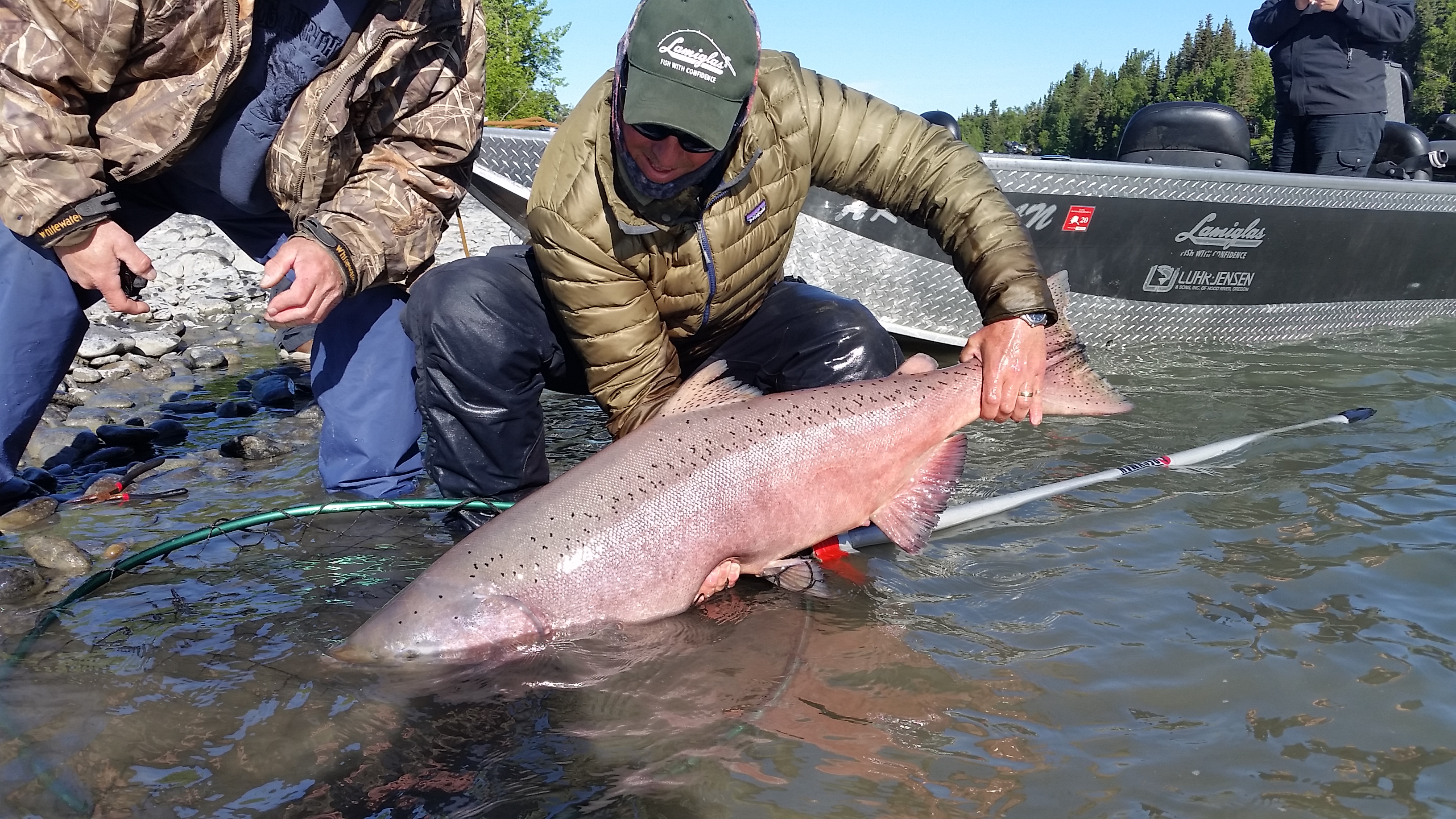 Kenai River King Salmon