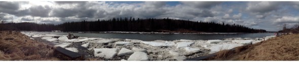 Ice melting on the Kenai River in the spring on May 21, 2013.